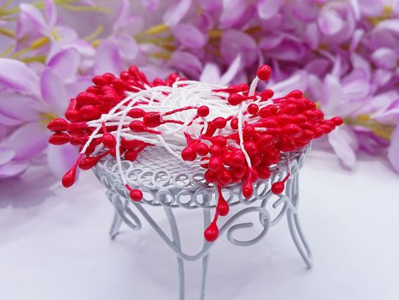 Гладкі довгасті Червоні тичинки, 1 пучок