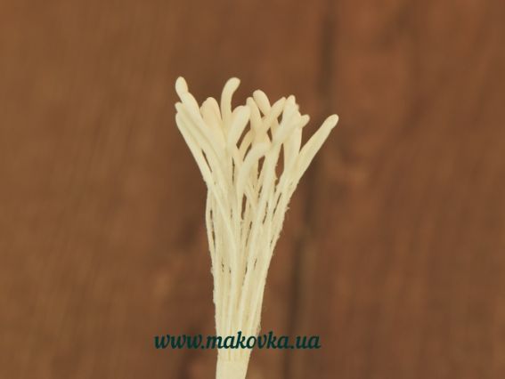 Тычинки мелкие Длинные белые, 1 пучок Тычинки мелкие Длинные белые, 1 пучок