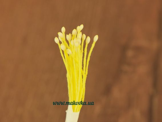 Тычинки мелкие Белые капельки с желтой ножкой, 1 пучок Тычинки мелкие Белые капельки с желтой ножкой, 1 пучок