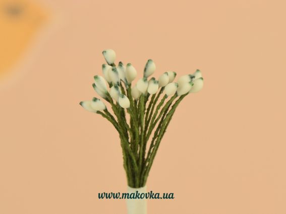 Тычинки мелкие Белые капельки с зеленой ножкой, 1 пучок Тычинки мелкие Белые капельки с зеленой ножкой, 1 пучок