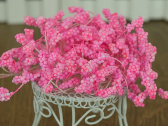 Тычинки декоративные Махровые крупные, цвет Малиновый, 1 пучок Тычинки декоративные Махровые крупные, цвет Малиновый, 1 пучок