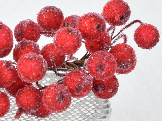 Набір Ягоди Цукрова калина , FL02 , розмір 12мм, колір Червоний, 40шт/уп