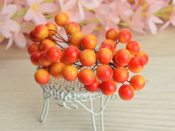 Ягоди Калина ЧЕРВОНО-ЖОВТА 17, 40шт/уп, FL201 10мм