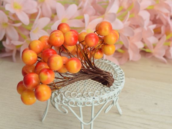 Ягоди Калина ЧЕРВОНО-ЖОВТА 17, 40шт/уп, FL201 10мм