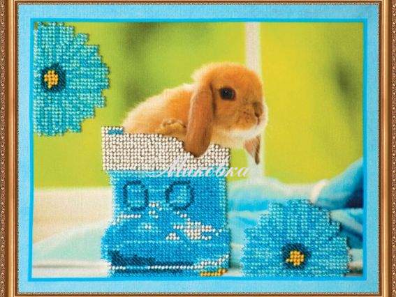 Кролики-3, АВ-051, Абріс Арт