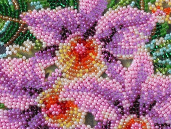 Набір для вишивання бісером міді AMB-027 Каттлея, Абріс Арт