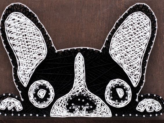 Стринг-арт ABC-010 Французский бульдог, Абрис Арт  Стринг-арт ABC-010 Французский бульдог, Абрис Арт 