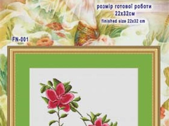 Туфелька Орхидея Туфелька Орхидея