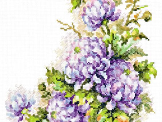 Хризантемы 40-58, Чудесная Игла Хризантемы 40-58, Чудесная Игла