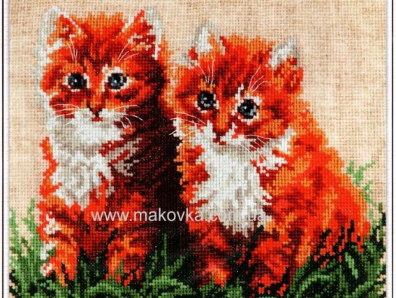 Рыжие друзья 58-05, Чудесная Игла Рыжие друзья 58-05, Чудесная Игла