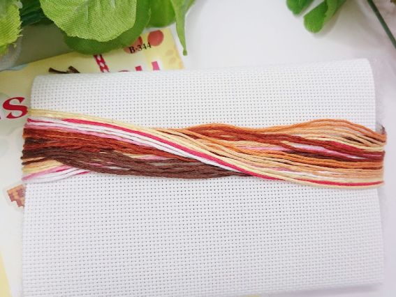 Комплектація набору Biscornu: бавовняне муліне на органайзері, що лежить на листі білої пластикової канви №18.