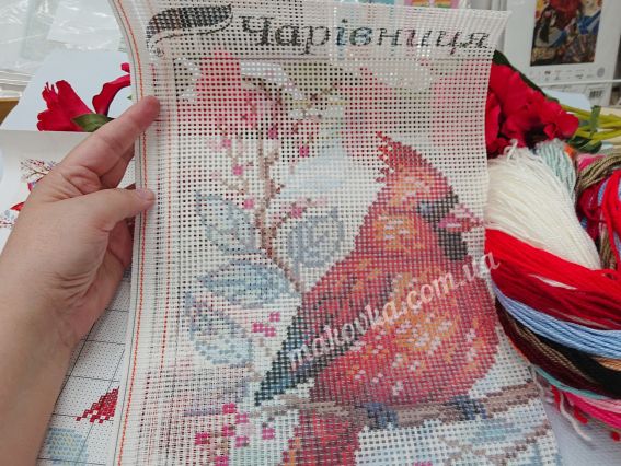 Набір для вишивання подушки напівхрестиком 40х40 см V556 Пара кардиналів (птахи) Чарівниця