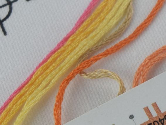 Набір для вишивання хрестиком 6931 Відбиток лап Paw Prints DIMENSIONS