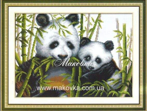 Панды 111104, Dome Панды 111104, Dome