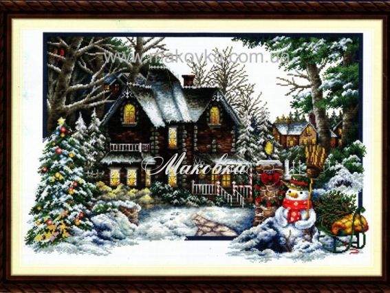 Наступает зима 100302 Dome (Доме) Наступает зима 100302 Dome (Доме)