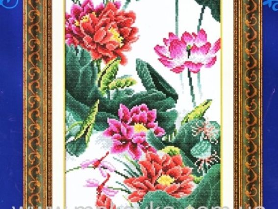 Лотосы 100814, Dome Лотосы 100814, Dome