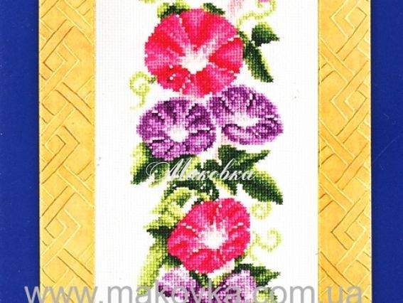 Вьюнок с лентой (ранние цветы) 90717, Dome Вьюнок с лентой (ранние цветы) 90717, Dome