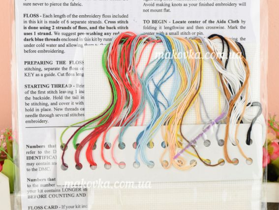 Набор для вышивания нитками dw2841 Pizza Delivery (Доставка пиццы) Design Works , США