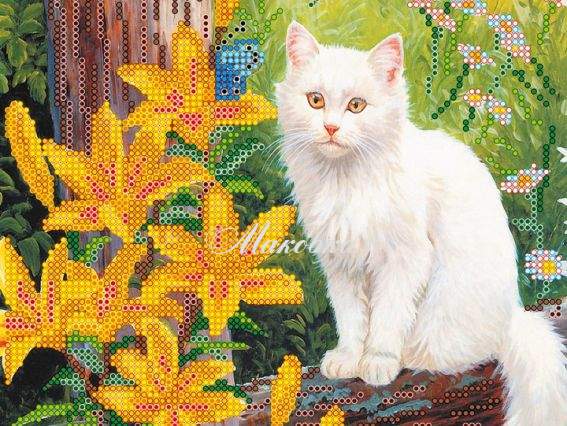 Схема (малюнок) на полотні Білий кіт, АС-461, Абріс Арт Схема (малюнок) на полотні Білий кіт, АС-461, Абріс Арт