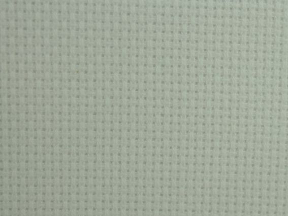 Канва для вишивання Канва ТВШ-30 1-1 Аіда14 (50х50см) біла, ЧС