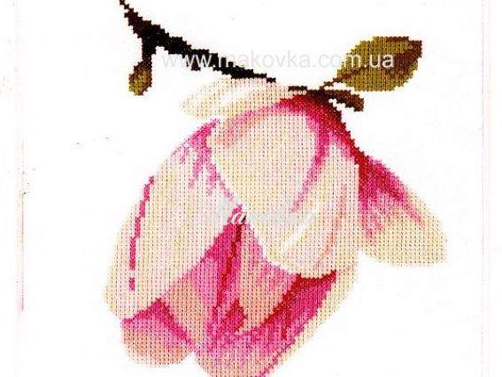 Магнолия 35108 Lanarte Магнолия 35108 Lanarte