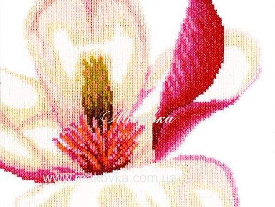 Магнолия 35110 Lanarte