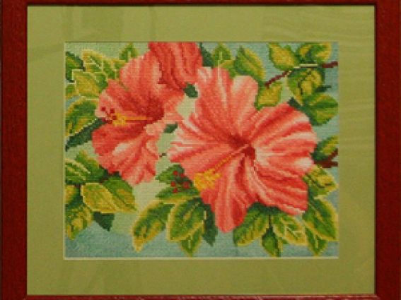 Гибискус, ТМ Леди Гибискус, ТМ Леди