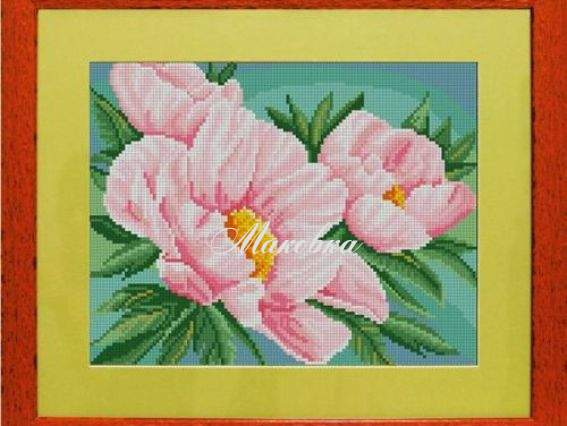 Пионы, 1028  ТМ Леди