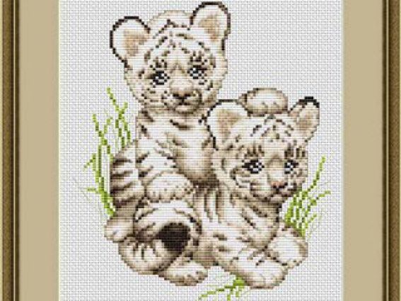 B189 Тигрята B189 Тигрята