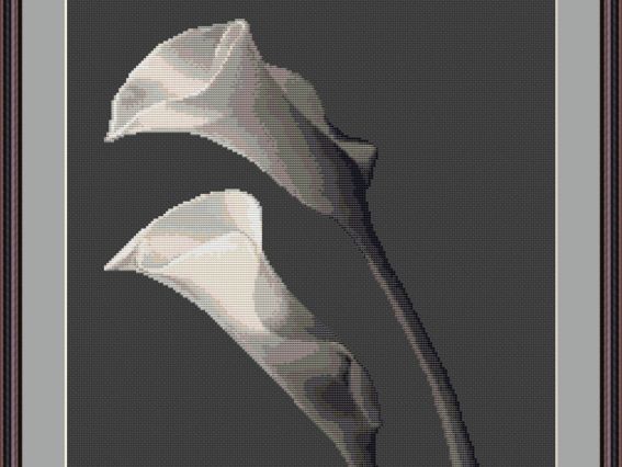 B237 Калы B237 Калы