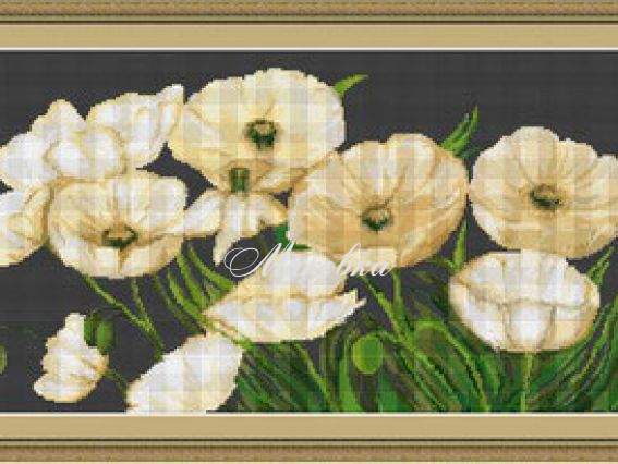 B274 Белые маки на черном фоне B274 Белые маки на черном фоне