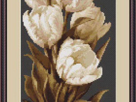 B292 Тюльпаны, Luca-S B292 Тюльпаны, Luca-S