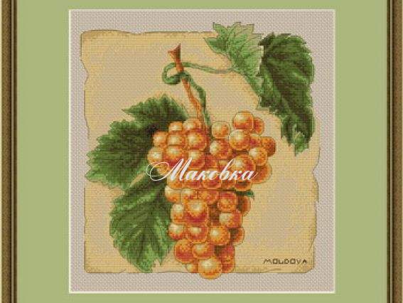 B296 Виноград, Luca-S B296 Виноград, Luca-S