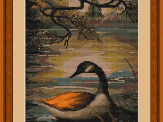 B336 Утка на озере B336 Утка на озере