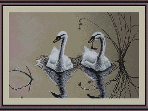 B346 Пара лебедей, Luca-S B346 Пара лебедей, Luca-S