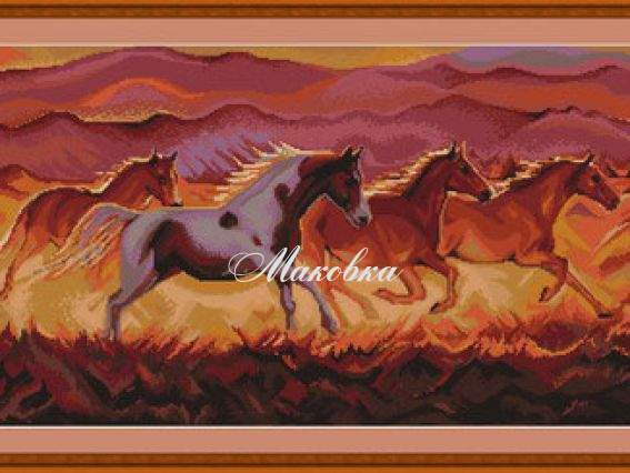 B398 Дикие лошади B398 Дикие лошади