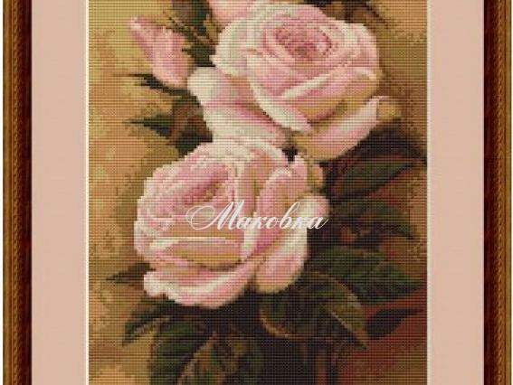 Розы G453 Luka S Розы G453 Luka S