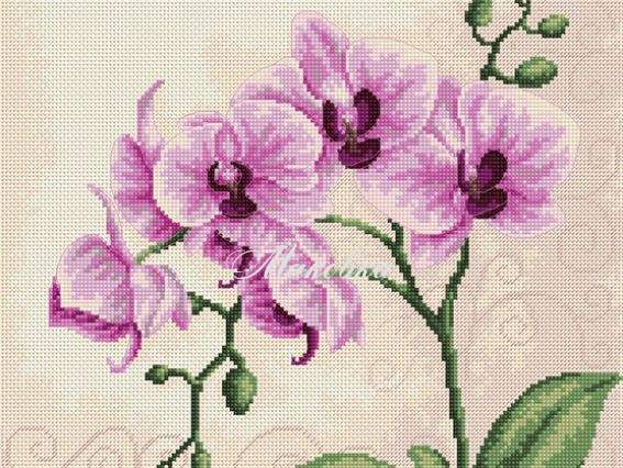 B2227 Орхідея, Luca-S вишивка нитками B2227 Орхідея, Luca-S вишивка нитками