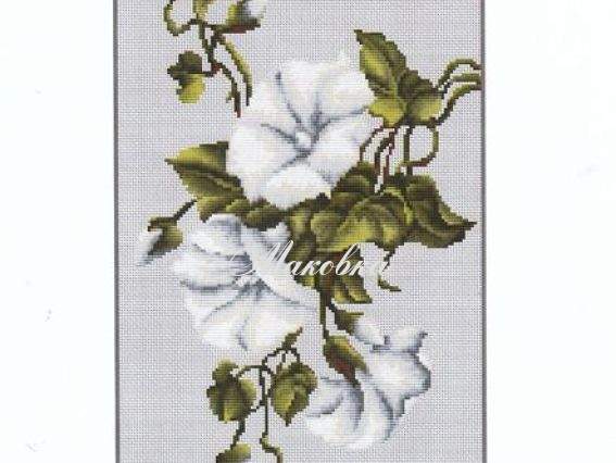 B2232 Вьюнок (голубой), Лука-С B2232 Вьюнок (голубой), Лука-С