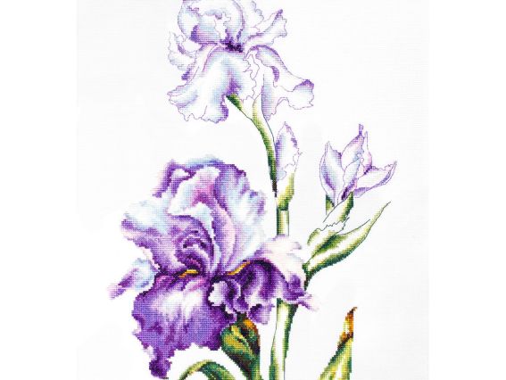 В2251 Іриси, Luca-S вишивка нитками В2251 Іриси, Luca-S вишивка нитками