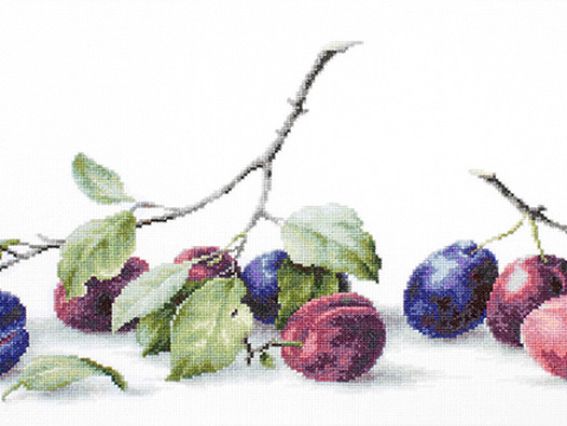 Набір для вишивання хрестиком B2257 Сливи, Лука-С