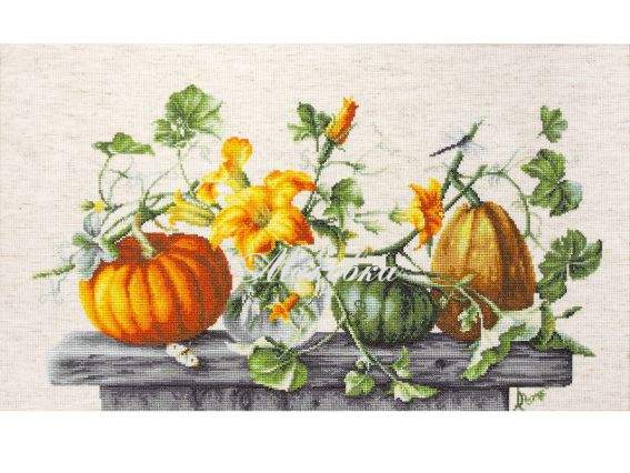 B2303 Гарбузи, Luca-S вишивка нитками