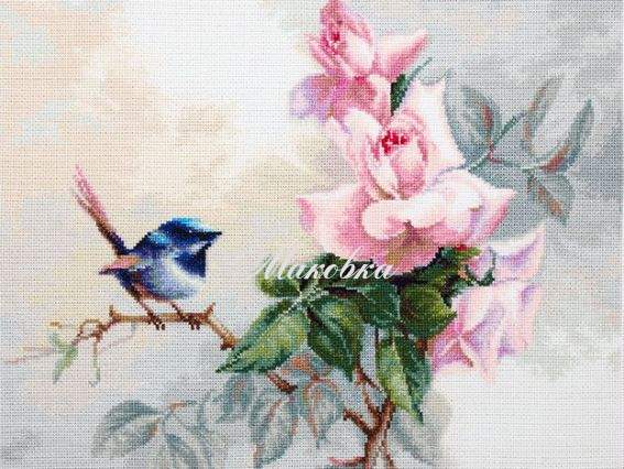 В2313 Пташка, Luca-S вишивка нитками (belana 20) В2313 Пташка, Luca-S вишивка нитками (belana 20)