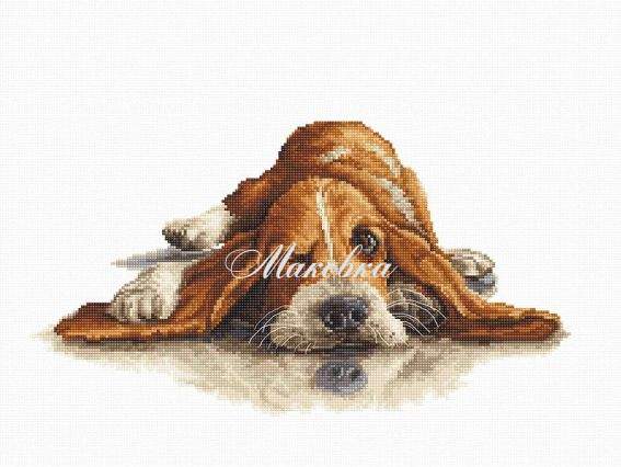 B2341 Бассет, Luca-S вишивка нитками B2341 Бассет, Luca-S вишивка нитками