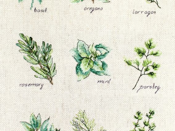 Набор для вышивания крестом на канве на Аиде 16ст B2346 Специи и травы Luca-S 