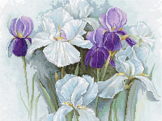 Набір для вишивання хрестиком B2367 Іриси, Лука-С