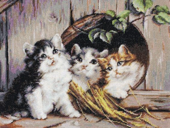 B520 Дружній притулок, Luca-S вишивка нитками B520 Дружній притулок, Luca-S вишивка нитками