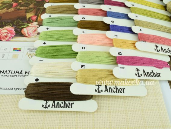 Набір для вишивання хрестиком B588 Натюрморт із голубкою Лука-С