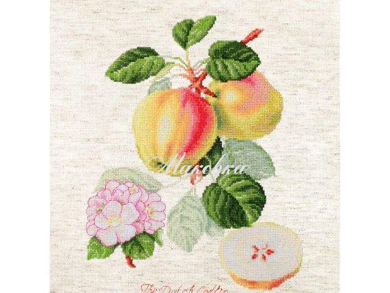BA22440 Яблоки, Luca-S вышивка нитками