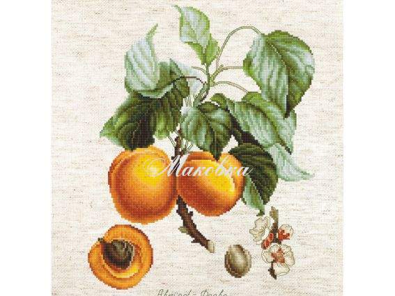 ВА22450 Персики, Luca-S вышивка нитками